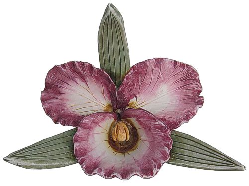 Passion Orchid