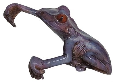 Tree Frog - Purple