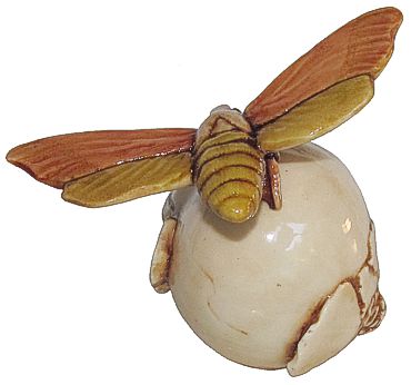 Moth On Onion