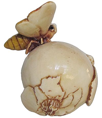 Moth On Onion