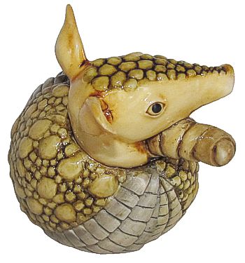 Armadillo