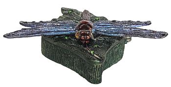 Dragonfly On Leaf - Jeweled Box